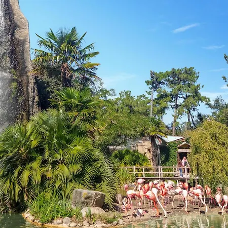 Апартаменты Vue Сен-Жорж-де-Дидон